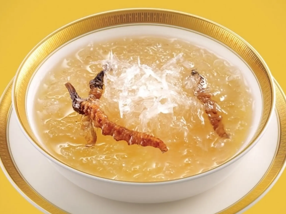 Yến chưng đông trùng hạ thảo là gì?